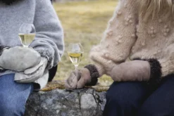 Sagaform 2 Copas De Champagne Saga 9 Sagaform 2 Copas De Champagne Saga -Tiendas De Vajillas Seleccionadas 508650 01 5 EnvironmentImage 3f8bfd1ac1