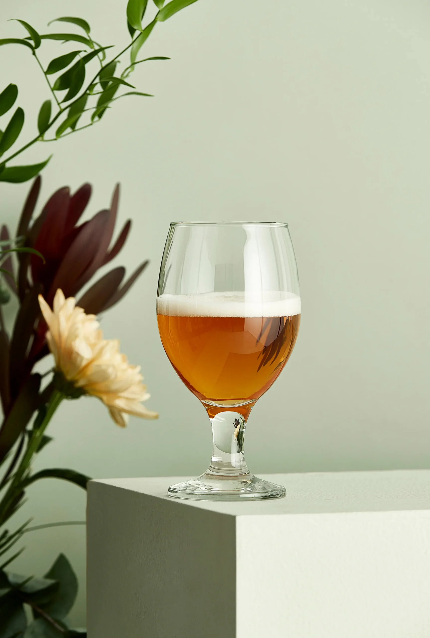 Aida Copa De Cerveza Café 40 Cl 3 Aida Copa De Cerveza Café 40 Cl - Imagen 3