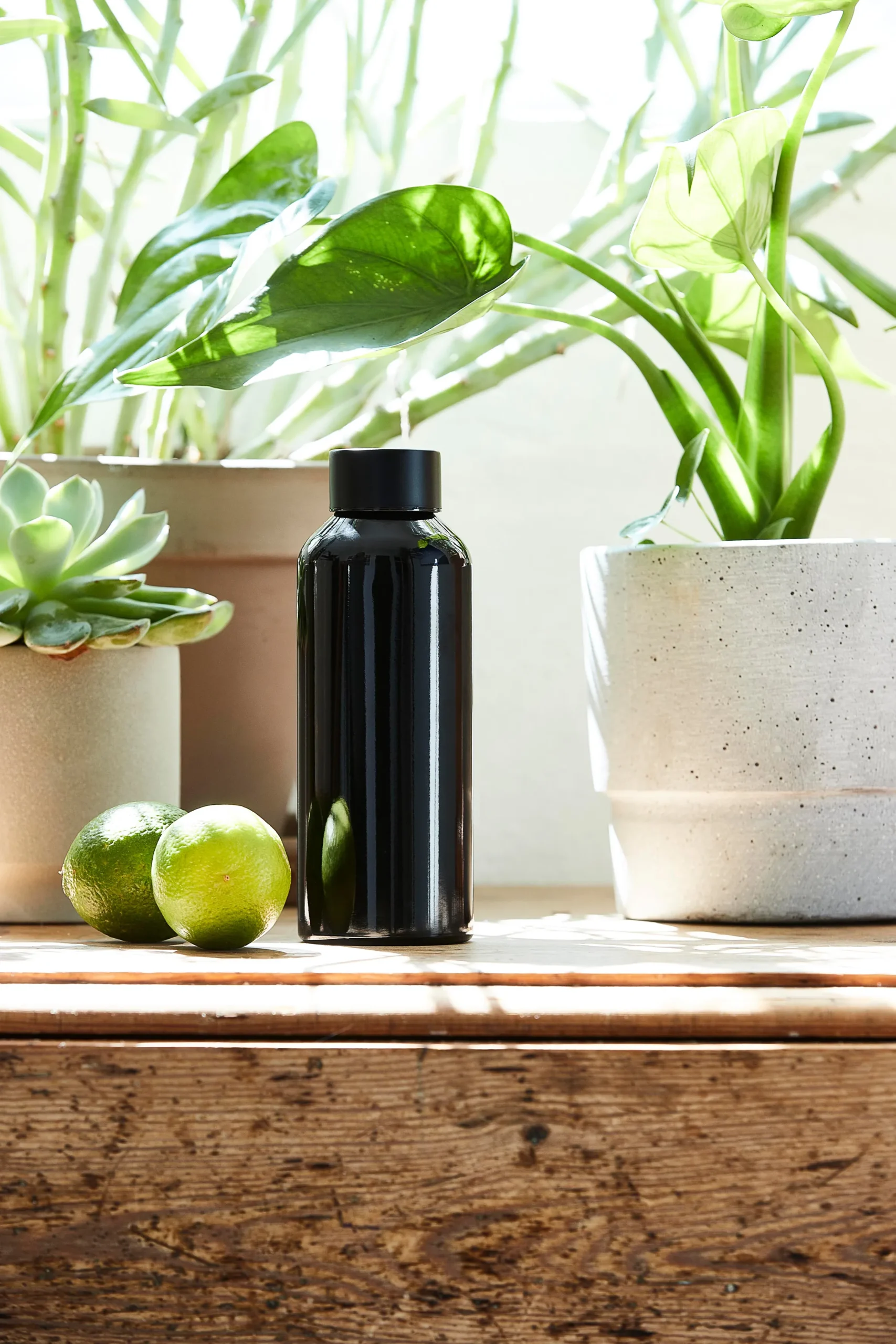 Aida Botella De Aluminio To Go 0,5 L 2 Aida Botella De Aluminio To Go 0,5 L - Imagen 2