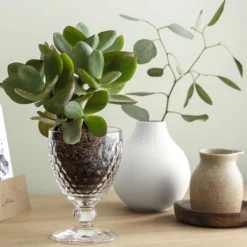 Villeroy & Boch Vaso Tumbler Boston 41 Cl -Tiendas De Vajillas Seleccionadas 570796 01 5 EnvironmentImage ed4d4e0f82