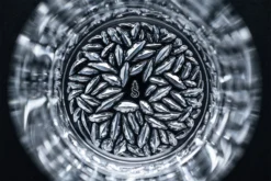 Spiegelau 4 Vasos SOF Lounge 2.0 23,8 Cl 4 Spiegelau 4 Vasos SOF Lounge 2.0 23,8 Cl -Tiendas De Vajillas Seleccionadas 573675 01 30 ProductImageDetail 1ef39e201e