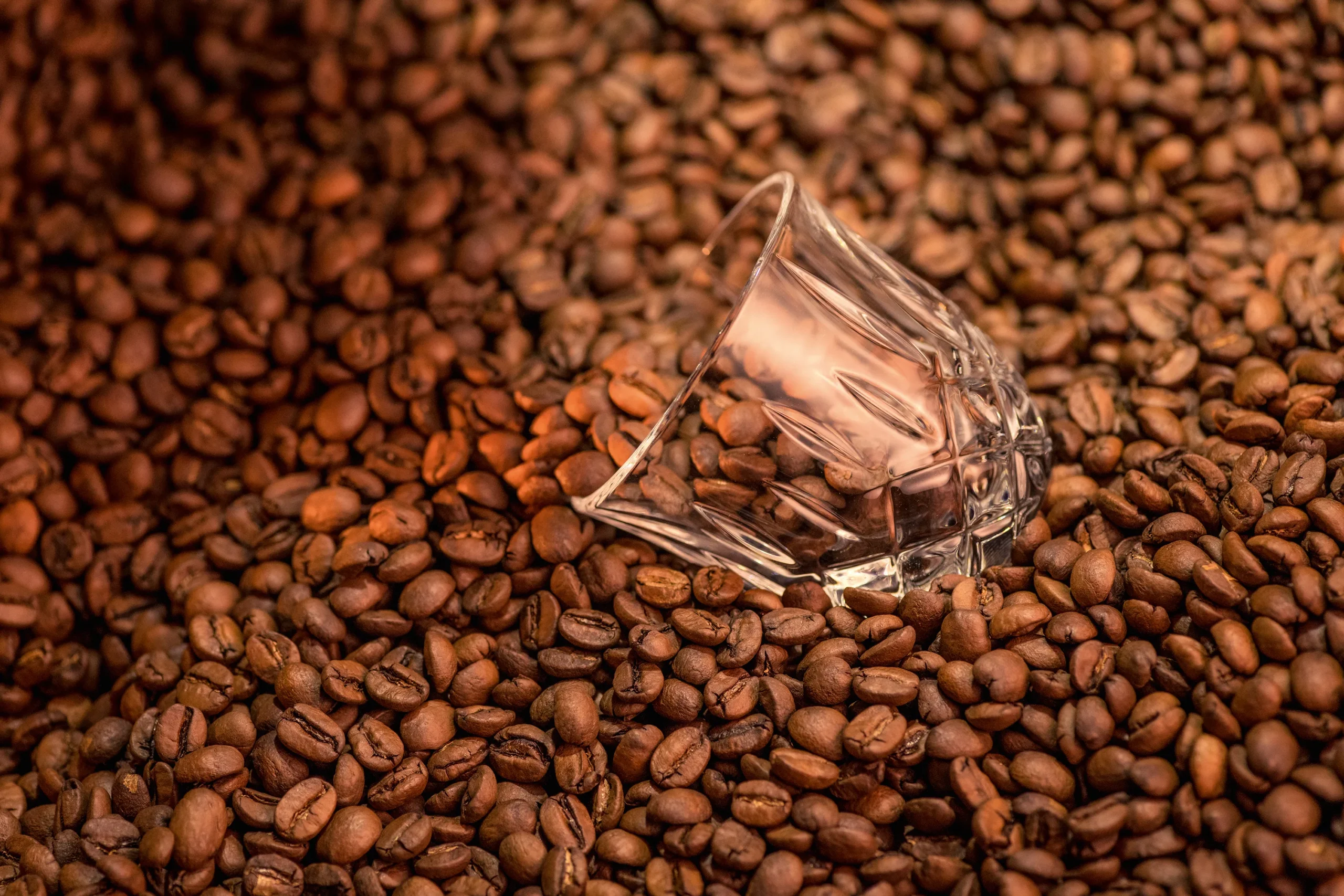 Nachtmann 2 Vasos Espresso Noblesse Barista 9 Cl 5 Nachtmann 2 Vasos Espresso Noblesse Barista 9 Cl - Imagen 5