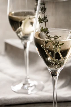 Orrefors 6 Copas De Champagne Sense 25,5 Cl 8 Orrefors 6 Copas De Champagne Sense 25,5 Cl -Tiendas De Vajillas Seleccionadas 582248 01 41 EnvironmentImage 83b4b736c4