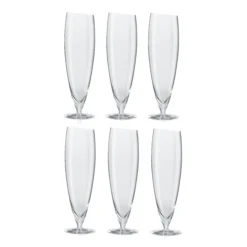 6 Copas De Cerveza Eva Solo